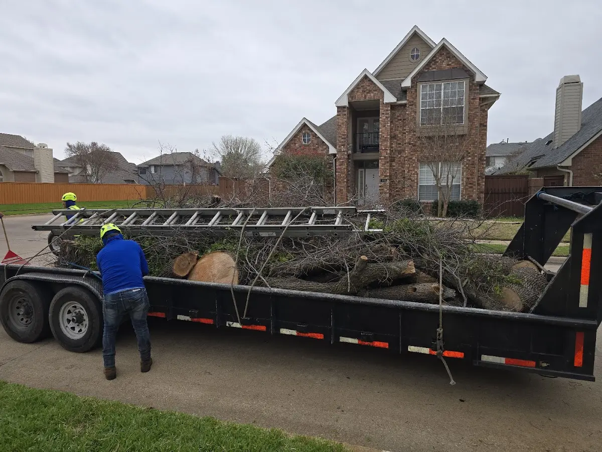 Expert Lot Clearing with proper safety equipment in Macatawa